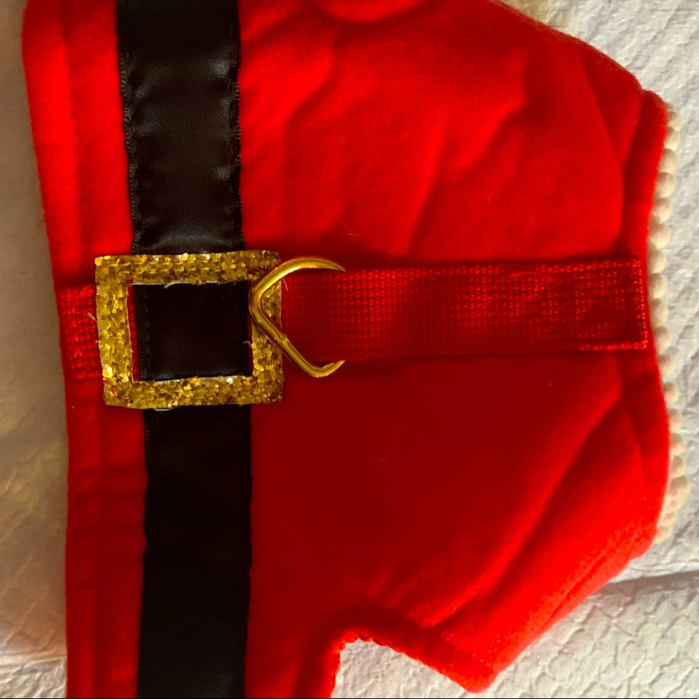 Santa Harness